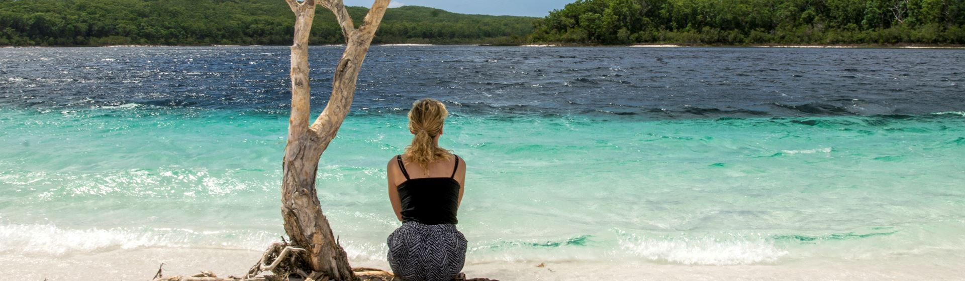 Een vrouw, op de rug gezien, zittend onder een boom, kijkt naar het groen-blauwe meer Lake McKenzie, op Fraser Island in Australië.