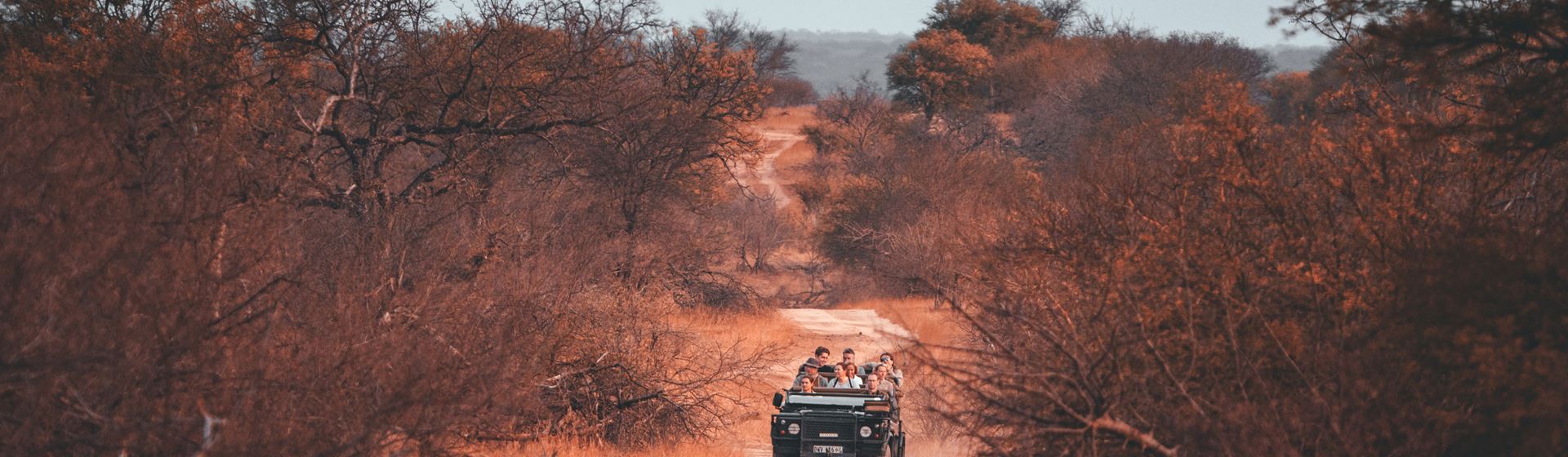 Krugerpark, Zuid-Afrika. Een jeep rijdt in de verte over een zandweg.